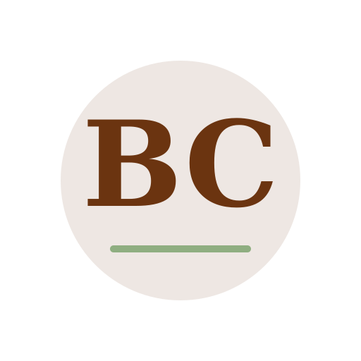 Bronze Chimney Service logo